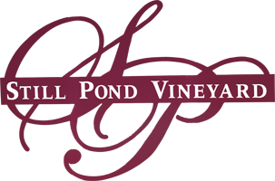Still Pond Vineyards